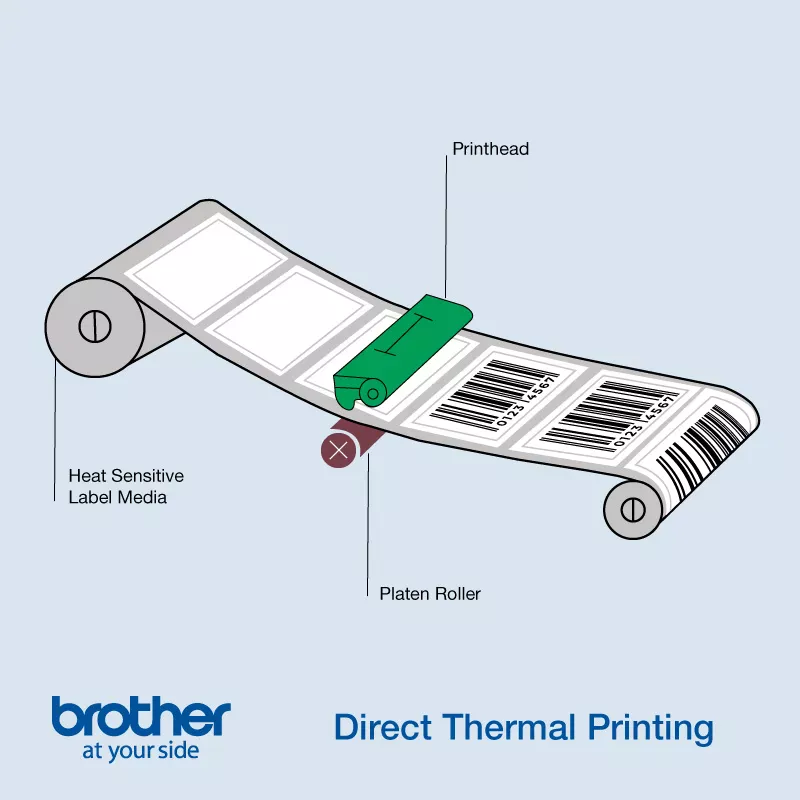 Sơ đồ nguyên lý in nhiệt trực tiếp Direct Thermal