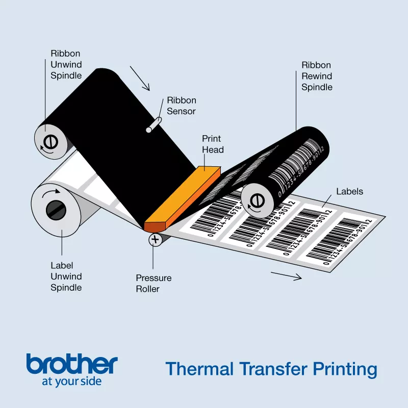 Sơ đồ nguyên lý in truyền nhiệt Thermal Transfer dùng ribbon